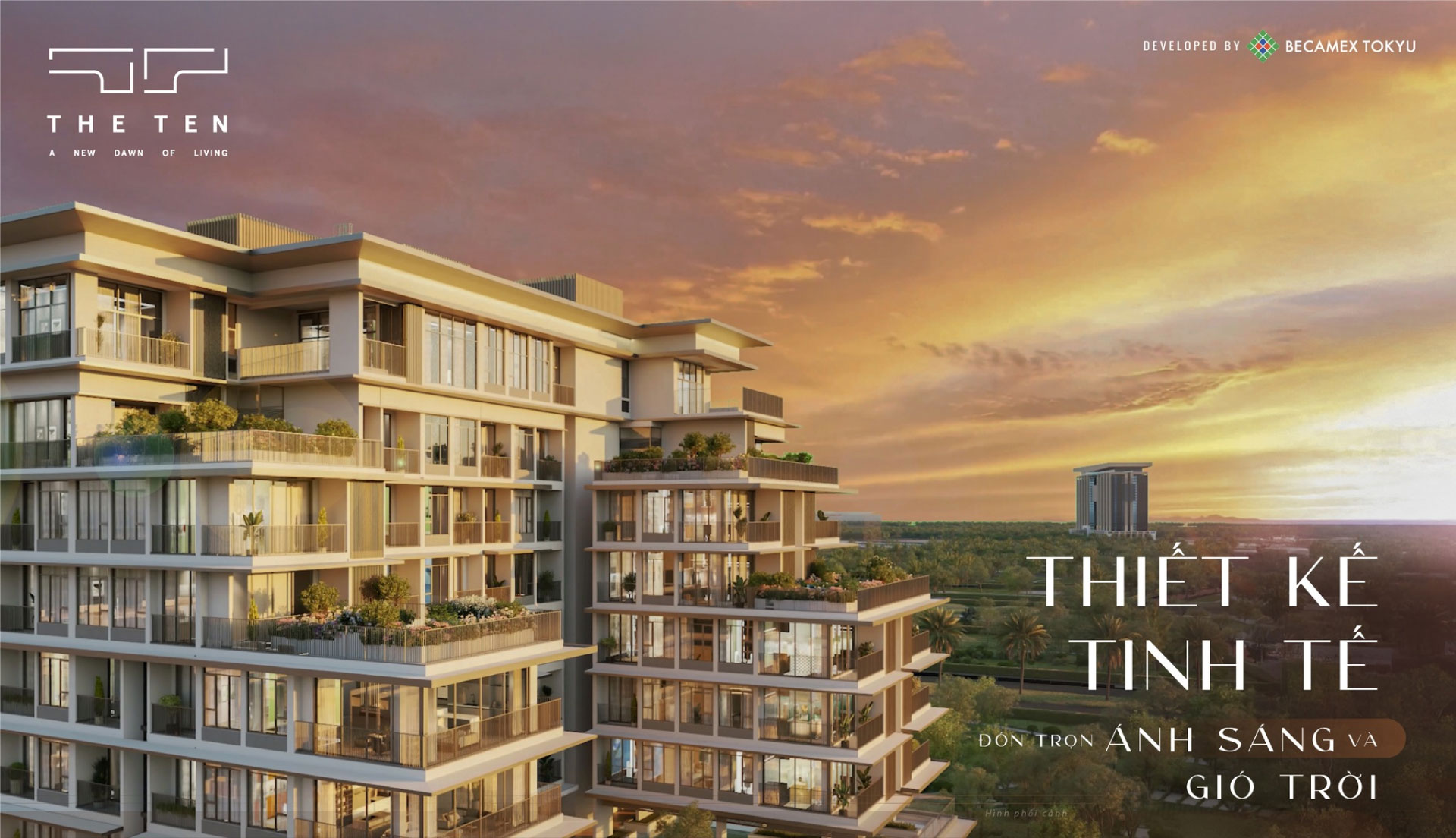 Tổng quan dự án