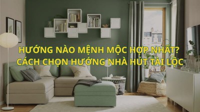 Hướng Nhà Mệnh Mộc Hợp Nhất: Cách Chọn Hướng Nhà Thu Hút Tài Lộc