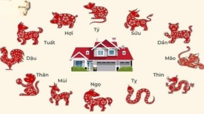 Mua Nhà Có Cần Chọn Năm Hợp Tuổi Không? Giải Đáp Chuẩn Phong Thủy