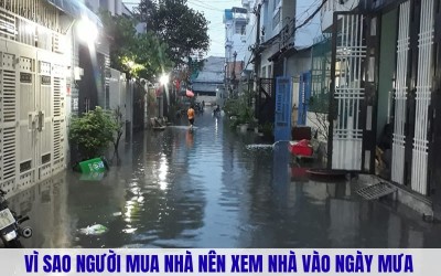 Mẹo Xem Nhà Vào Ngày Mưa Chuẩn Nhất Cho Người Mua