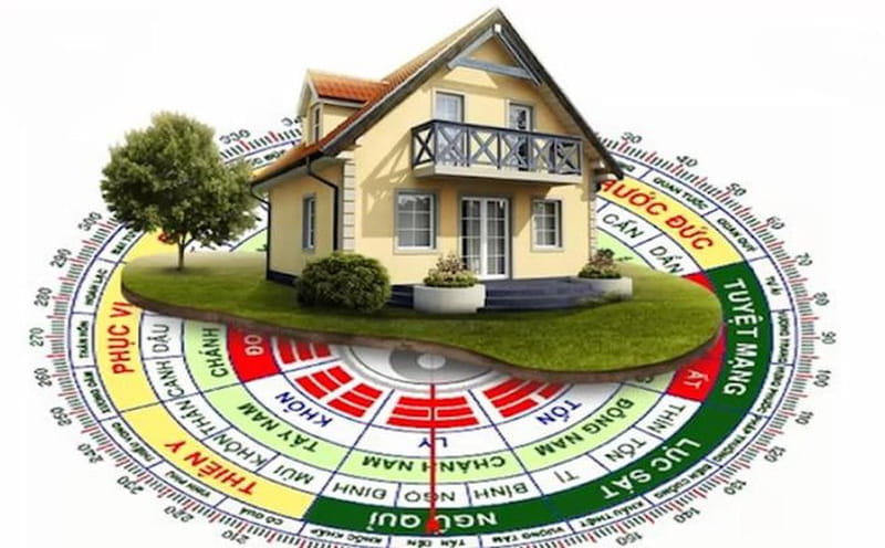 Tổng quan về người mệnh Mộc trong ngũ hành
