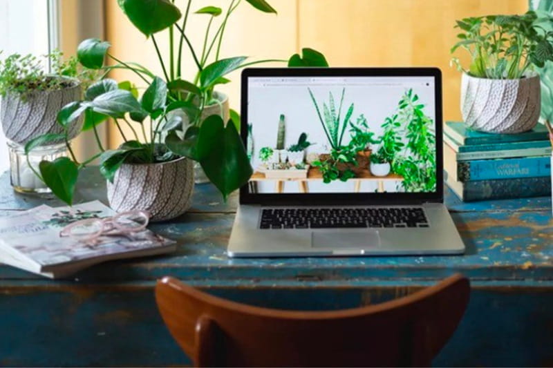 Hướng nhà mệnh mộc - Hướng bàn làm việc giúp tăng tài lộc