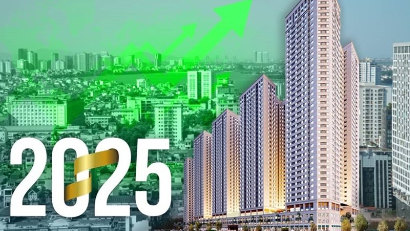 mua đất bình dương