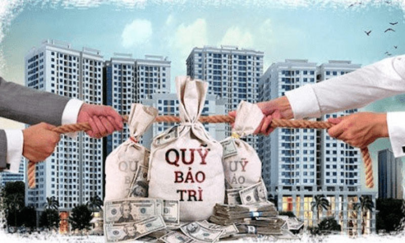 mua nhà chung cư cần lưu ý điều gì